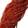 Karneol